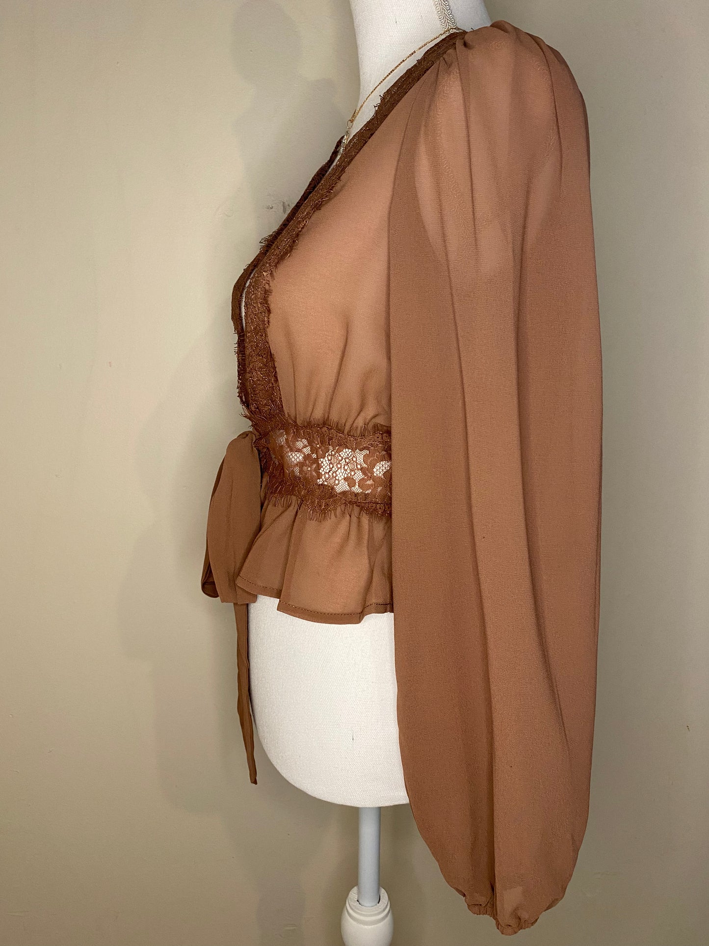 Brenda Sheer Long Sleeve Blouse: Mauve