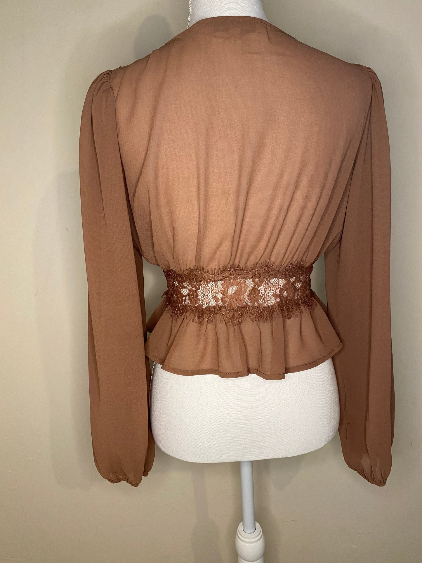 Brenda Sheer Long Sleeve Blouse: Mauve